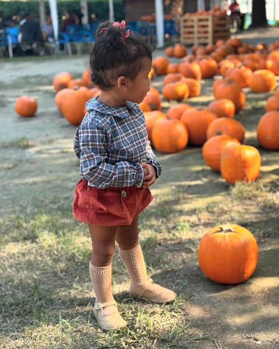 TEA camicetta tartan Stewart coccio jeans