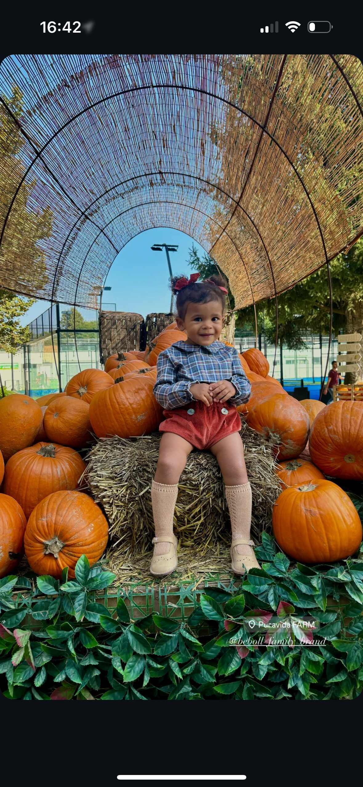 TEA camicetta tartan Stewart coccio jeans