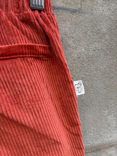 Pantalone NEW YORK costa velluto coccio